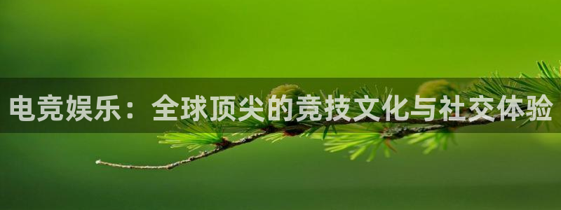 JJB电竞官：电竞娱乐：全球顶尖的竞技文化与社交体验