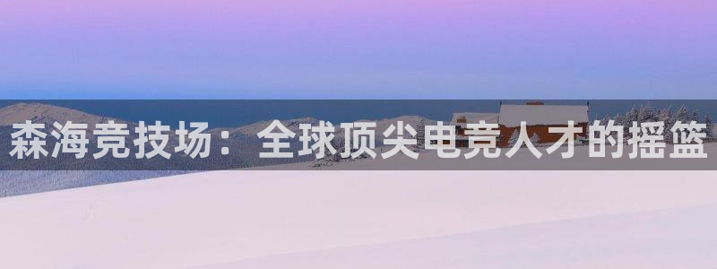 JJB电竞官方网站：森海竞技场：全球顶尖电竞人才的摇篮