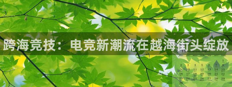 JJB电竞官方网站：跨海竞技：电竞新潮流在越海街头绽放