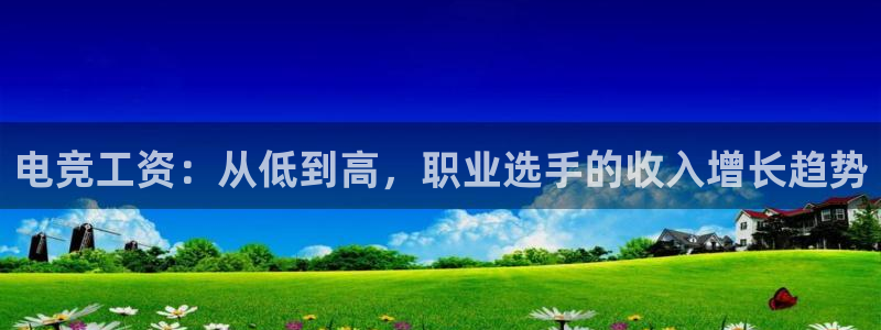 JJB电竞官：电竞工资：从低到高，职业选手的收入增长趋势