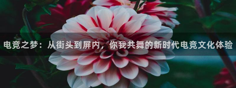 JJB电竞官方网站：电竞之梦：从街头到屏内，你我共舞的新时代电竞文化体验